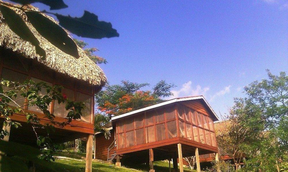 Cahal Pech Village Resort Сан-Игнасио Удобства фото
